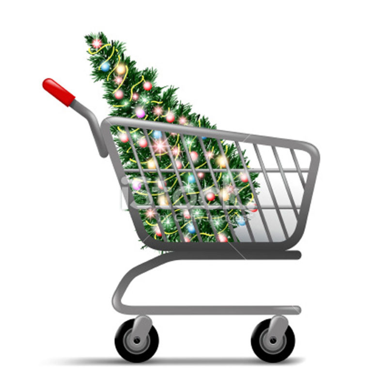 Christmas Trees for Sale & Delivered NY City NYC Tree Lady